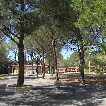 Camping Bolaso